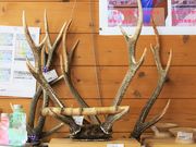 Ƃ񂳂̓̉wd݂̂̓eʐ^4