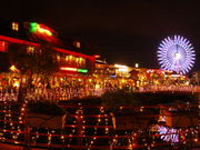 ڂԂ̃J[jop[NE~n}̓eʐ^1