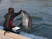 傤̃htBt@[܂Ȃ݂̓eʐ^1