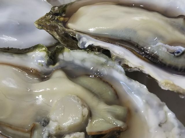 MXvv̉yHׂ鉿l_݋ƋgX