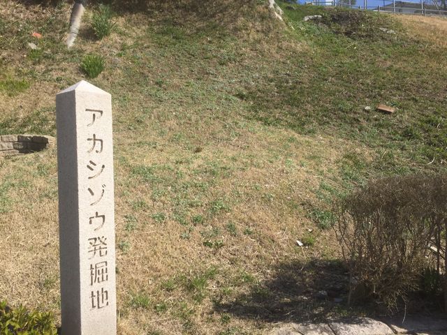 Ƃ񂳂̛PYC݂̓eʐ^2