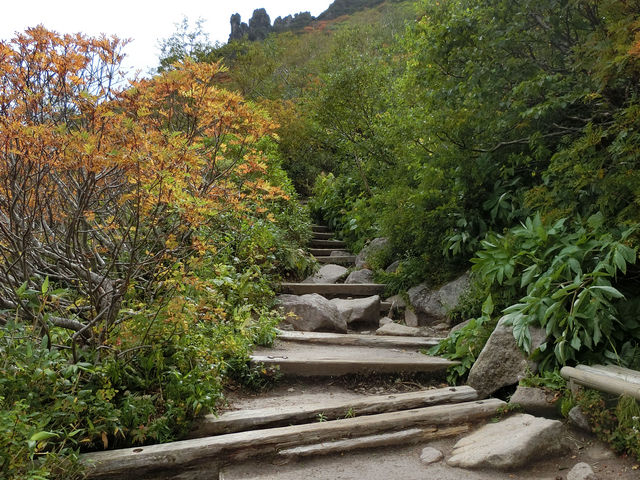 ������㍇�ڕt�߂̓o�R��_���R�i���x�j