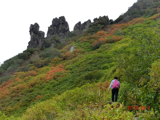 �}�l�L�₪�����Ă��ĊԂ��Ȃ��R���ł��B_���R�i���x�j