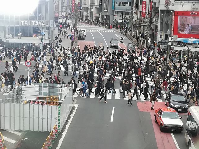 }[NVeBJR̘A_aJwOXNu_