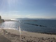 Ƃ񂳂̛PYC݂̓eʐ^1