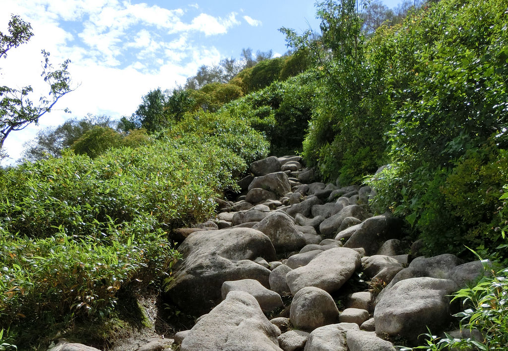 旭川・層雲峡のその他名所ランキングTOP10 - じゃらんnet