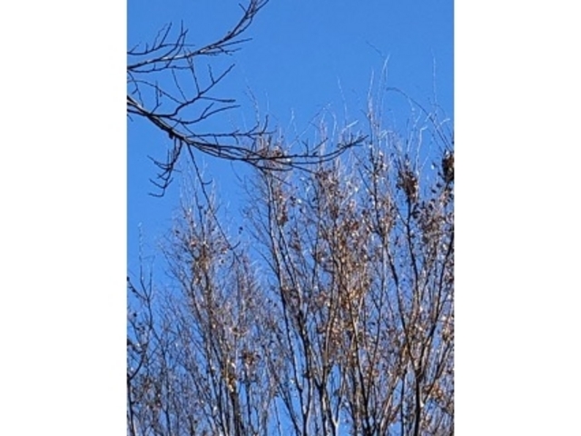 �厩�R_��q�R�W�����v���Z��