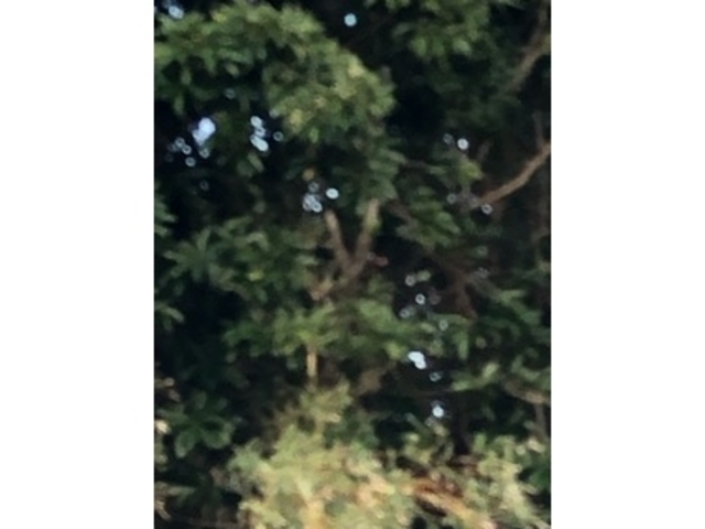 �f���炵��_��������U���H