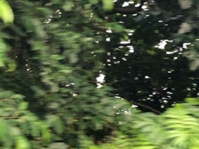 ��_�O���ߎ��R����