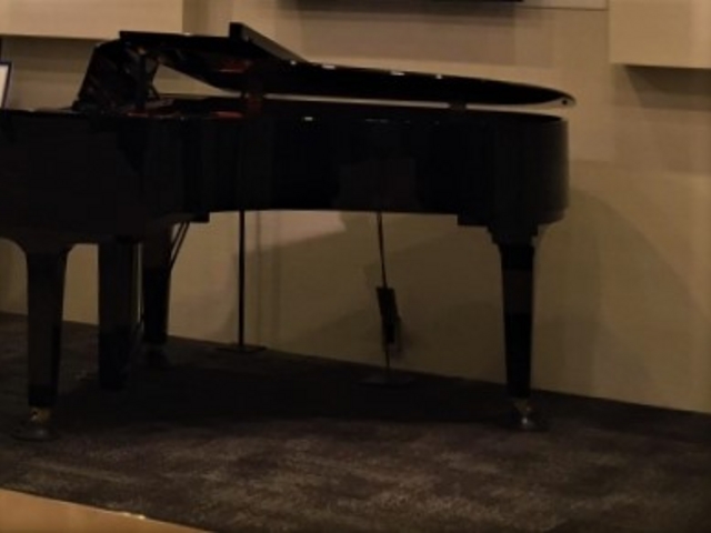 �s�A�m���t_NEOPASA�l���i���j