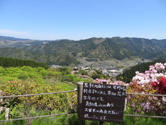 星の花公園 アクセス 営業時間 料金情報 じゃらんnet