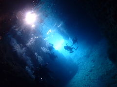 ̃V}n@}T[rXւ̓eʐ^1