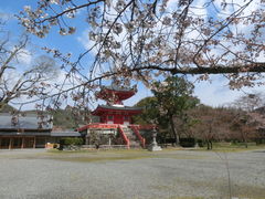 旧嵯峨御所 大本山大覚寺の口コミ一覧 じゃらんnet