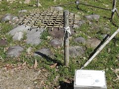 kenken����̍��c�隬�i���R���^��s�j�ւ̓��e�ʐ^1