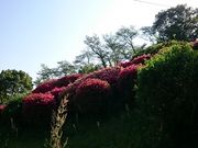 񂿂񂳂̓֎̃ccW̓eʐ^1