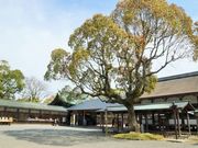 񂳂̏@ЁiӒË{j̓eʐ^2