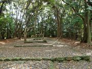 񂳂̏@ЁiӒË{j̓eʐ^3