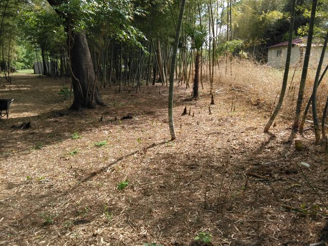 ���������⡂������o���Ă܂��B_���ʂ���ӂ��[��