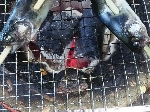 �C���i_���������L�n�x�m