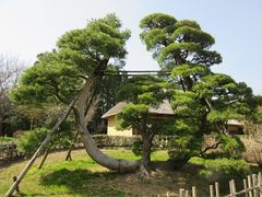 イ̍ĉ݂m̌ΔȌւ̓eʐ^10