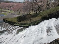 イ̍ĉ݂m̌ΔȌւ̓eʐ^6