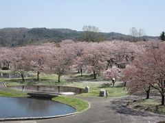 イ̍ĉ݂m̌ΔȌւ̓eʐ^7