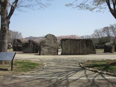 イ̍ĉ݂m̌ΔȌւ̓eʐ^8