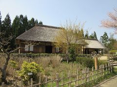 イ̍ĉ݂m̌ΔȌւ̓eʐ^9