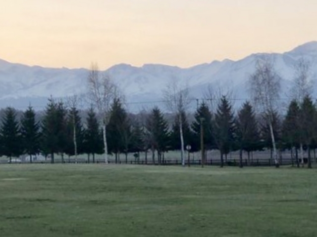 �L�����v_���̏o����