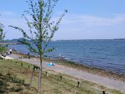 ̂˖т̓s}C݂̓eʐ^1