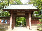 �j�R����񂳂�̎������̓��e�ʐ^1