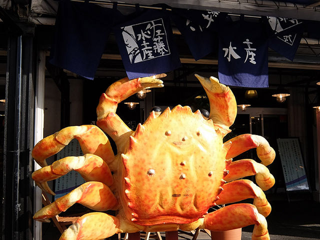 ���������s��@�������Y�O�̃J�j�̃I�u�W�F_���������s���O�s��