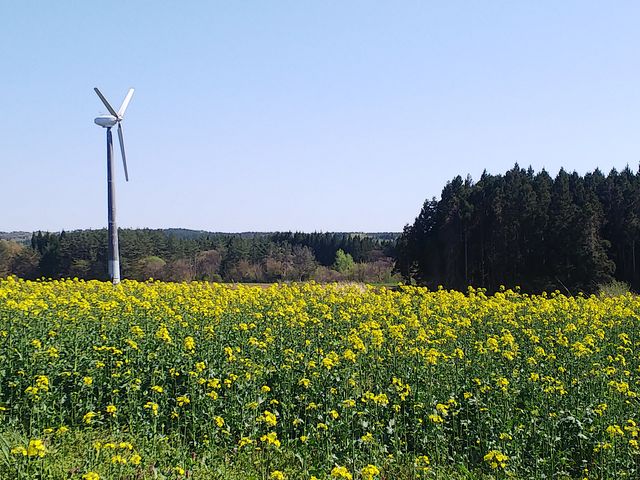 amuchảl̍؂̉Ԕ̓eʐ^1