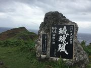 �g��������̃T���j�k��W�]��̓��e�ʐ^1