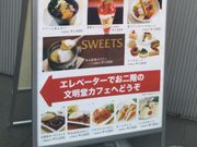 usa̕ JtF X iuChEJtFj̓eʐ^1