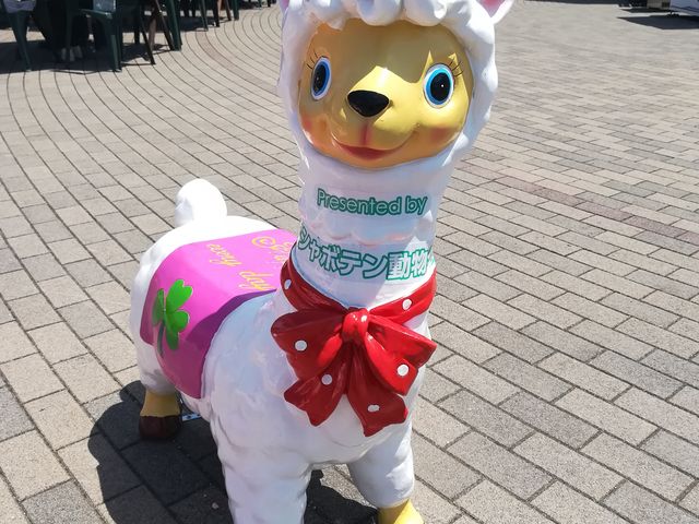 �A���p�J����_�ɓ��������̉w�����ς�ہ[��