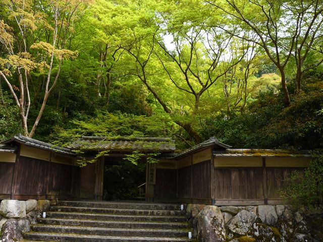 ���ʂ��_�ڗ����@