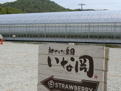 Ԃ񂳂̐V񂾔_ȉւ̓eʐ^1