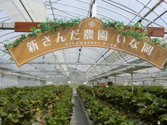 Ԃ񂳂̐V񂾔_ȉւ̓eʐ^3