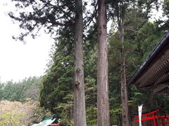 񂳂̎uaא_Ђւ̓eʐ^1