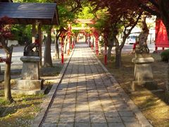 大輔さんの榊山稲荷神社の投稿写真1