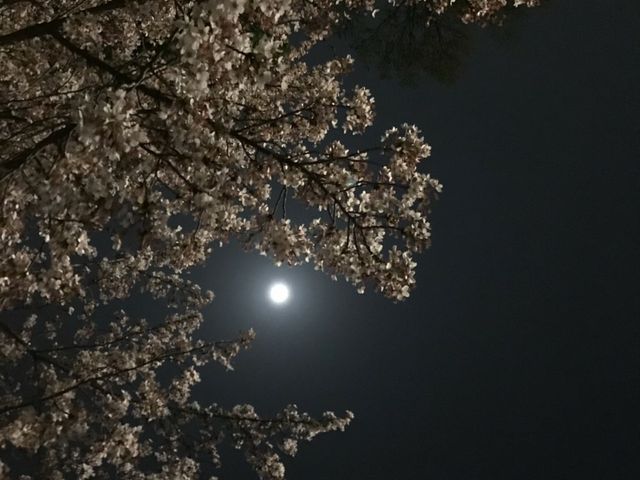 ���_��t���