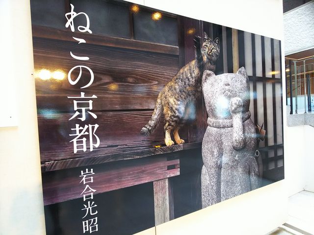 �ʐ^�B�e��OK�������R�[�i�[�ł�_�X�������y��