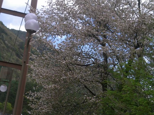 �݂苴�ƍ��B�B_�������
