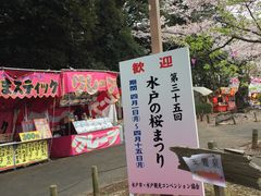 茨城県護国神社の桜 アクセス 営業時間 料金情報 じゃらんnet