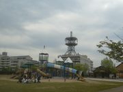 �T�r�L����̏����^�������̓��e�ʐ^1