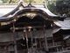 ayaさんの住吉神社（宮崎県宮崎市）の投稿写真1