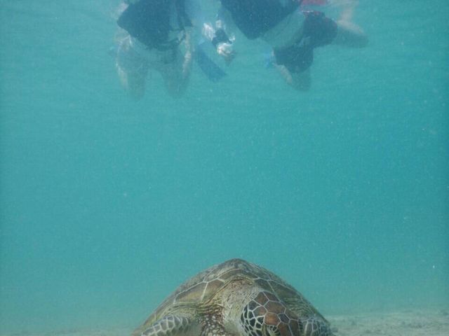 �E�~�K������_SEA ENJOY