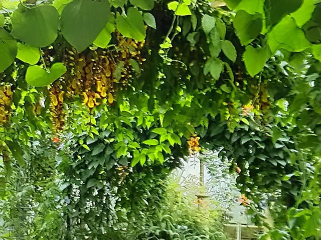 �A���̃g���l��_�x�R�������A����