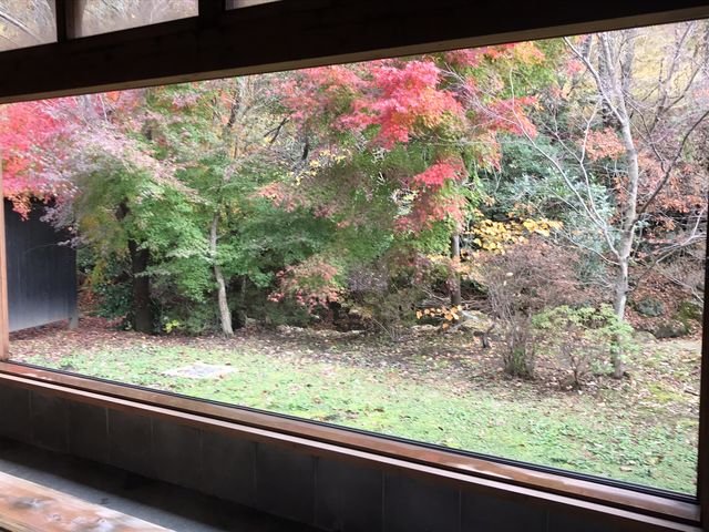 ����ɓ���Ȃ���g�t���y����_�݂�܃_�C�j���O��